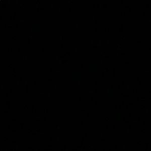 Meet your Posher, Lizzie